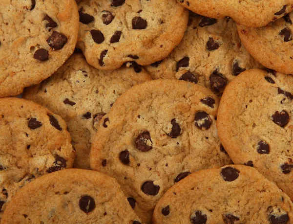 Chocolate Chip Cookies — Stock Photo, Image