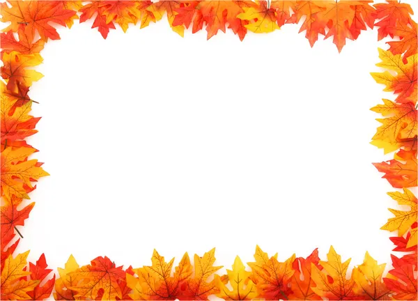 Full Boarder Of Leaves — Stock Photo, Image