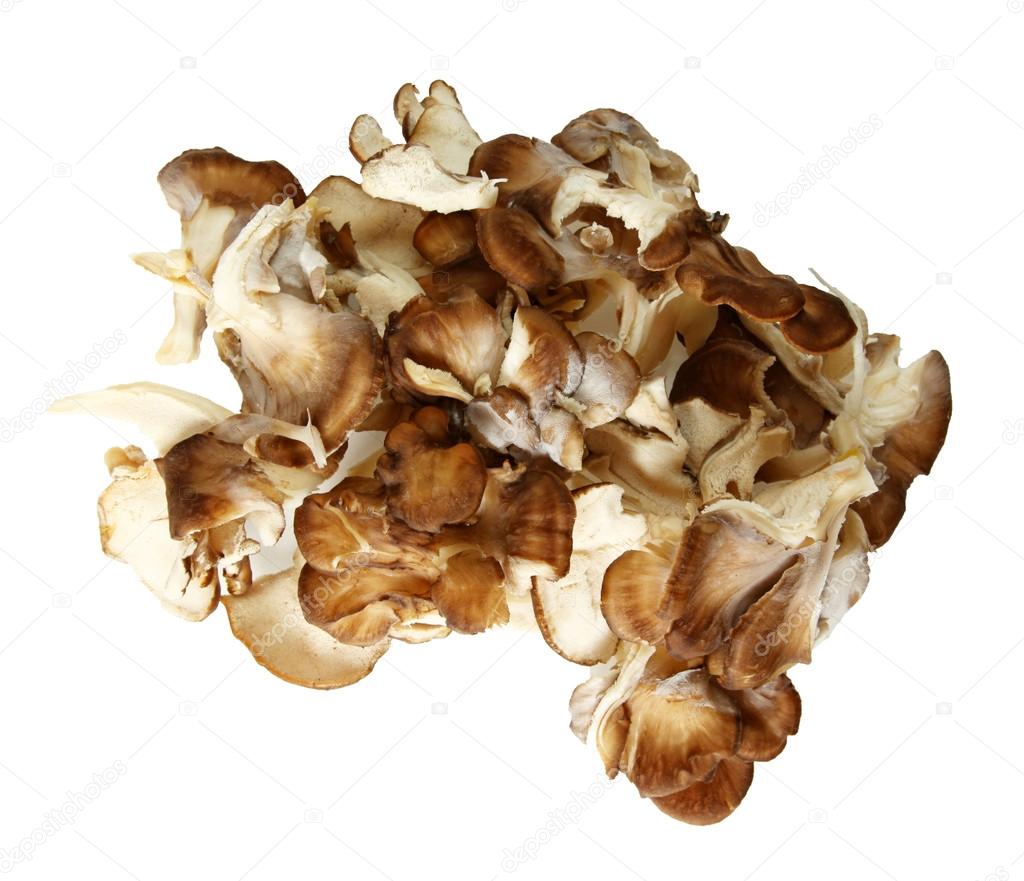 Top Down View Of Maitake Mushroom Pieces