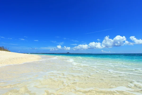 Schöner Strand im Sommer — Stockfoto