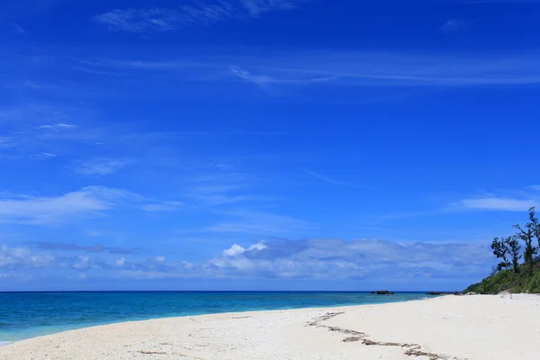 Playa de Beaautiful en verano — Foto de Stock