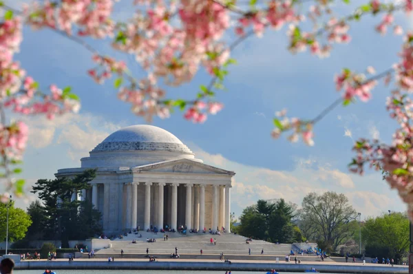Mémorial Jefferson en fleur de cerisier Images De Stock Libres De Droits
