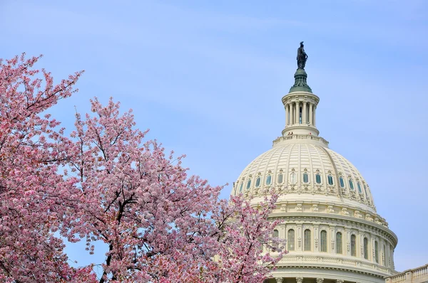 Монумент Вашингтона, США — стокове фото