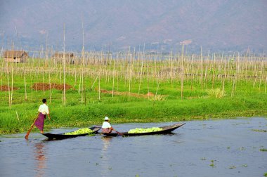 Myanmar kayan Bahçe