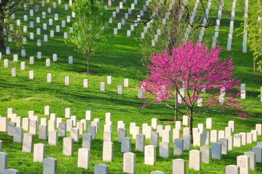 Arlington Ulusal Mezarlığı