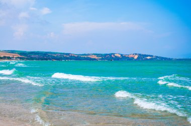 MUI Doğu defne, vietnam'ın saf denizde