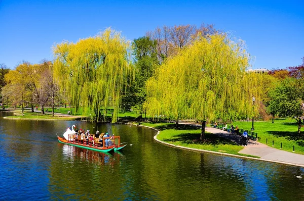 Sightseeing by Swan boat — Stock Photo, Image