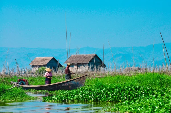 Jardin flottant au Myanmar Images De Stock Libres De Droits