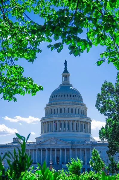 Капитолий США, Вашингтон, округ Колумбия, США — стоковое фото