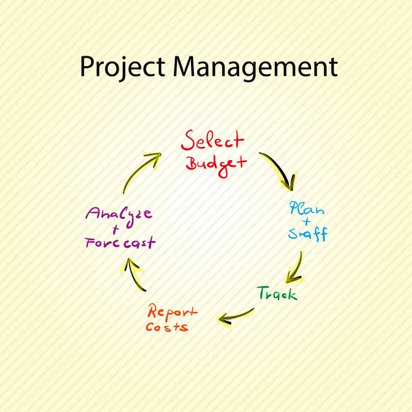 Project Management Graph — Stock Vector