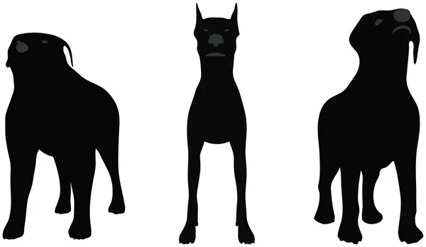 Stock vettore di cani silhouette in piedi davanti alla fotocamera su sfondo bianco — Vettoriale Stock