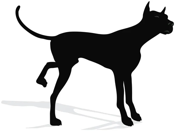 Vecteur de stock de silhouette de chien debout devant la caméra sur fond blanc — Image vectorielle