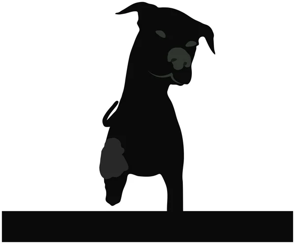Vecteur de stock de silhouette de chien debout devant fond blanc — Image vectorielle