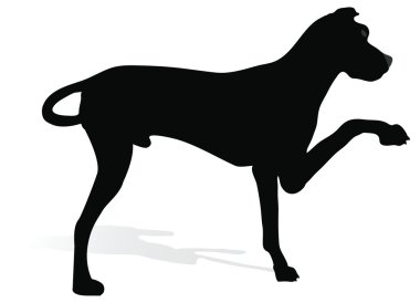 köpek siluet beyaz arka plan üzerinde hisse senedi vektör