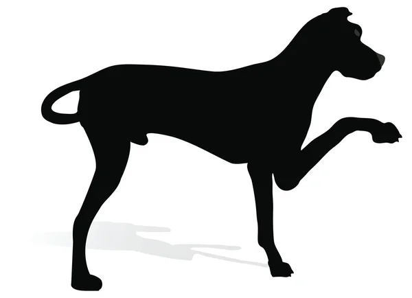 Voorraad vector van hond silhouet op witte achtergrond — Stockvector