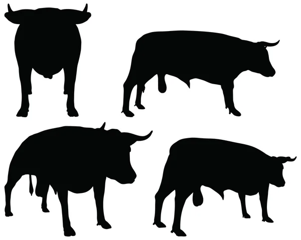 Raccolta bovini silhouette vettoriale — Vettoriale Stock