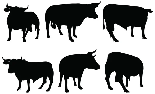 Raccolta bovini silhouette vettoriale — Vettoriale Stock