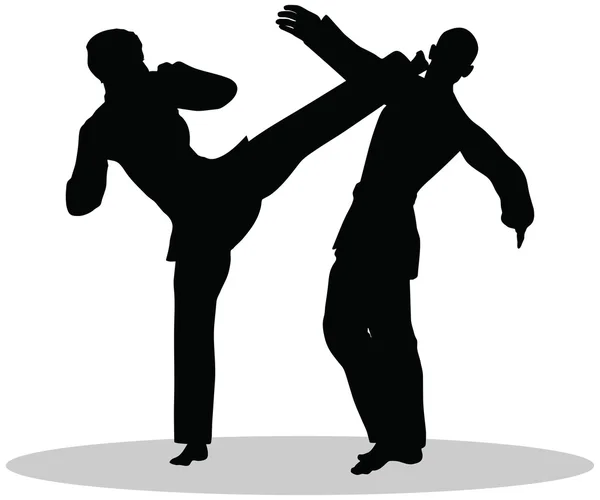 Karate martial art silhouettes of man and woman in karate poses — Stock Vector