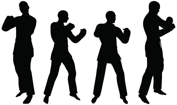 Karate sztuki walki sylwetki kobiet i mężczyzn w pięść walki karate pozach — Wektor stockowy