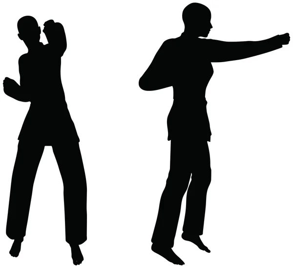 Karate martial art silhouettes of men and women in fist fight karate poses Vector Graphics