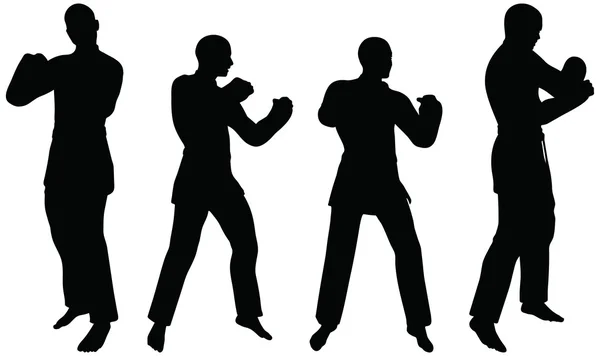 Karate martial art silhouettes of men and women in fist fight karate poses Stock Illustration