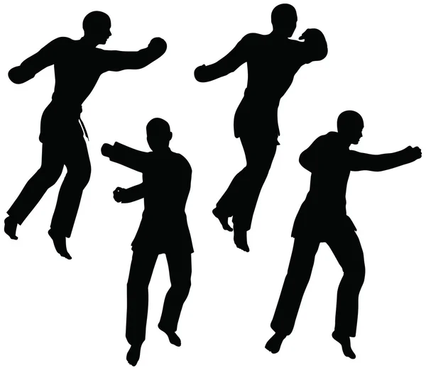 Karate artes marciales siluetas de hombres y mujeres en puño lucha karate poses — Vector de stock