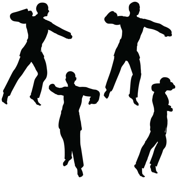 Karate martial art silhouettes of men and women in fist fight karate poses