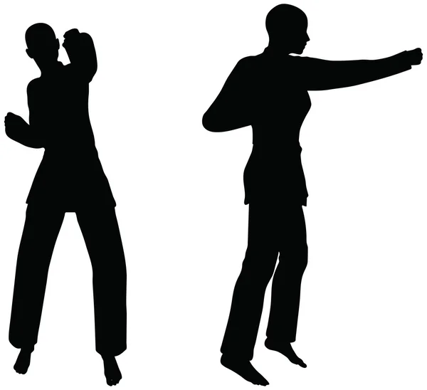 Karate artes marciales siluetas de hombres y mujeres en puño lucha karate poses — Vector de stock