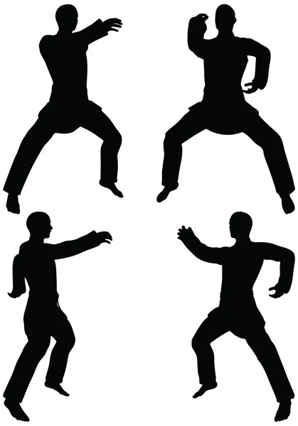 Karate martial art silhouettes of men in reverse punch karate poses — Stock Vector
