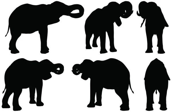 Set of editable vector silhouettes of African elephants in drink poses — Stock Vector