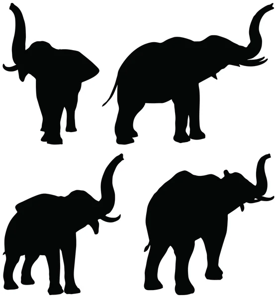 Набор редактируемых векторных силуэтов африканских слонов в позах запаха — стоковый вектор