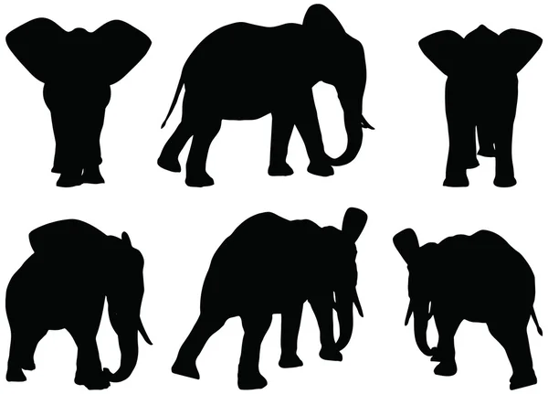 Conjunto de siluetas vectoriales editables de elefantes africanos en poses a pie — Vector de stock