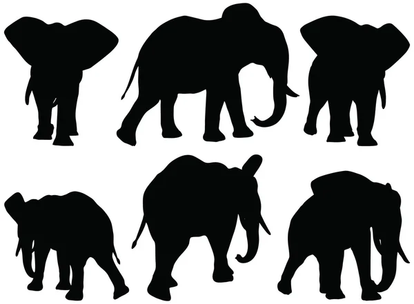 Набор редактируемых векторных силуэтов африканских слонов в позах ходьбы — стоковый вектор