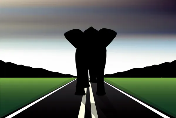 Editable vector silhouette of African elephant in walk pose on a road — Stock Vector