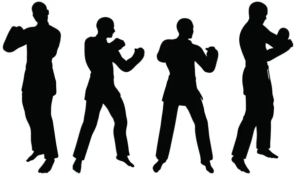 Karate martial art silhouettes of men and women in fist fight karate poses Stock Illustration