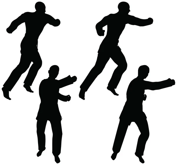 Karate martial art silhouettes of men and women in fist fight karate poses Vector Graphics