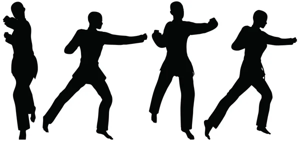 Karate martial art silhouettes of men and women in fist fight karate poses Stock Illustration