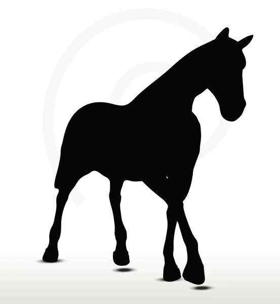 Silueta de caballo en desfile Posición a pie — Vector de stock