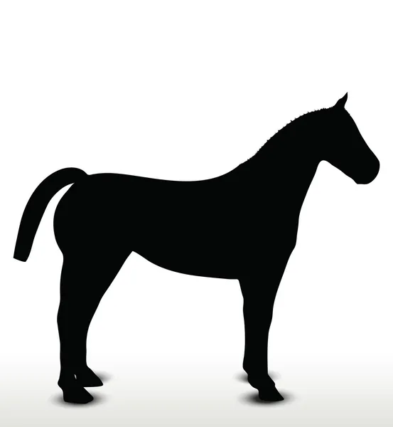 Horse silhouette in standing still position — Stock Vector