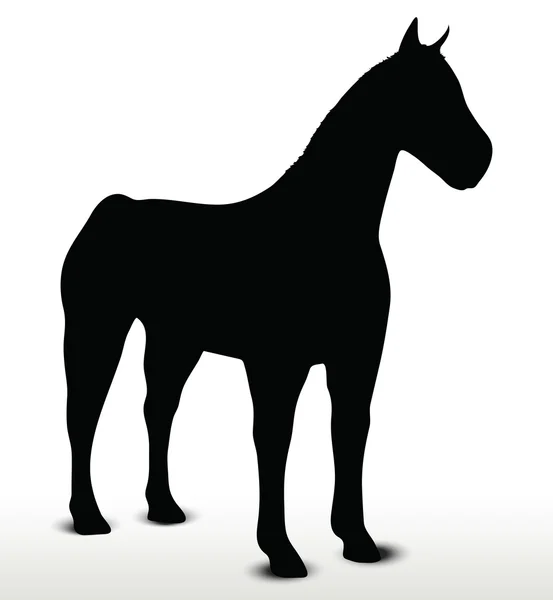 Silhouette de cheval en position debout immobile — Image vectorielle