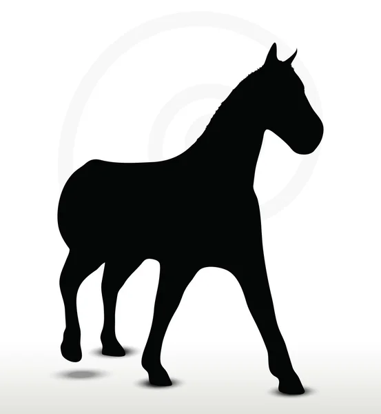 Silueta de caballo en posición de marcha — Vector de stock