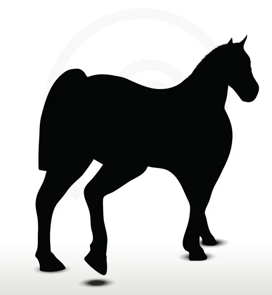 Silhouette cavallo in posizione a piedi — Vettoriale Stock