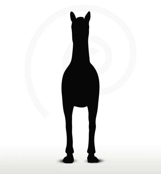 Silhouette de cheval en position debout immobile — Image vectorielle