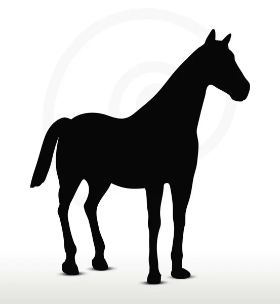Horse silhouette in standing still position — Stock Vector