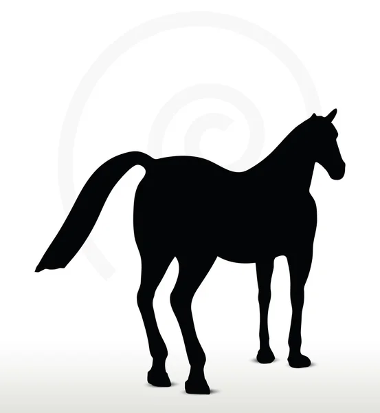 Силуэт лошади в неподвижном положении — стоковый вектор