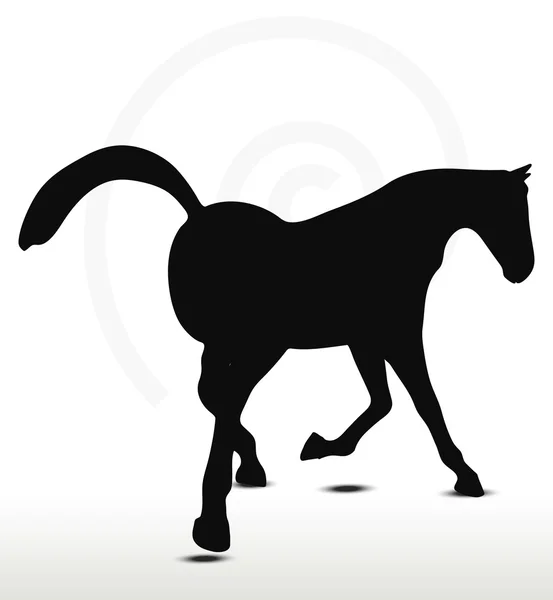 Silueta de caballo en buscando una buena posición — Vector de stock