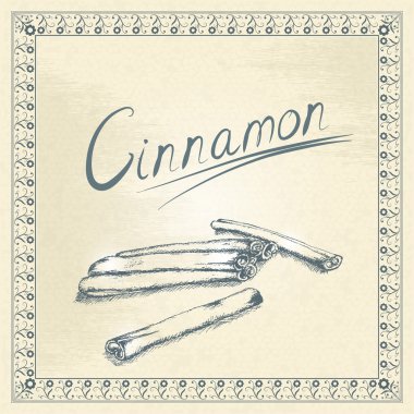 Vintage tarçın illüstrasyon