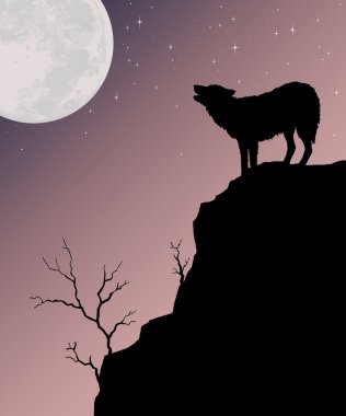 Kurt aya karşı uluyor.