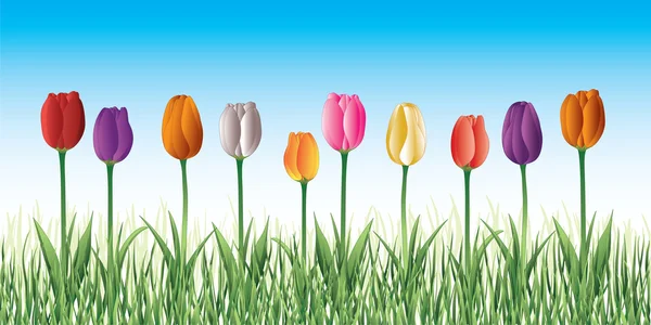 Tulipanes en hierba — Vector de stock