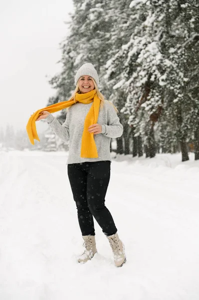 Pretty Woman Grey Sweather Yellow Scarf Walks Snowfall Woman Having — Foto Stock